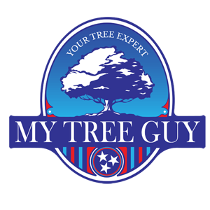 My Tree Guy